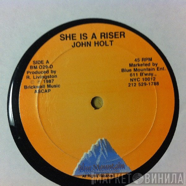 John Holt  - She's A Riser