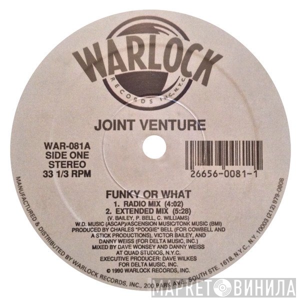 Joint Venture  - Funky Or What