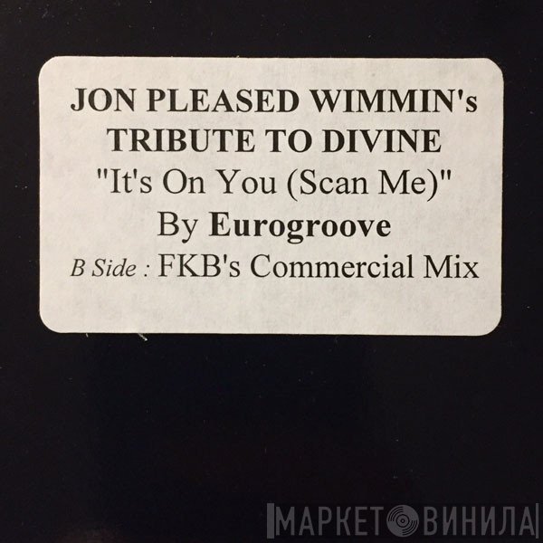 Jon Of The Pleased Wimmin, Eurogroove - It's On You (Scan Me)