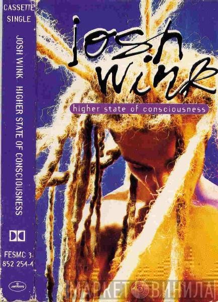 Josh Wink - Higher State Of Consciousness