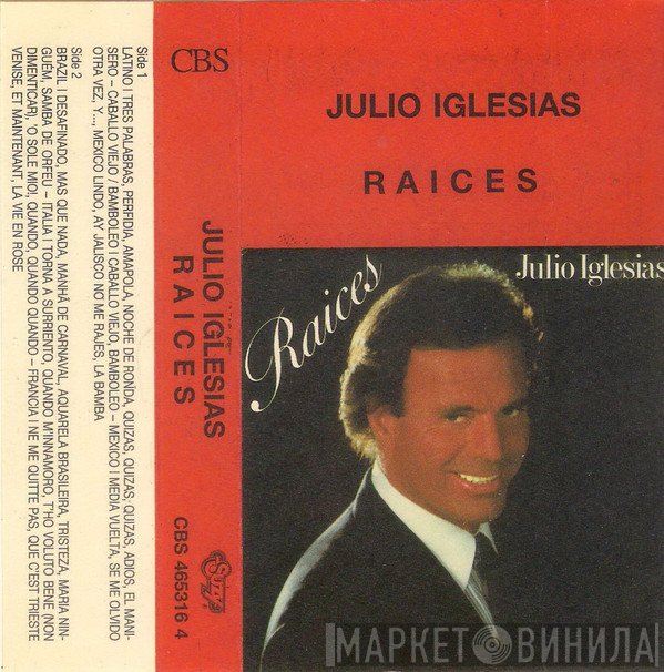 Julio Iglesias  - Raices