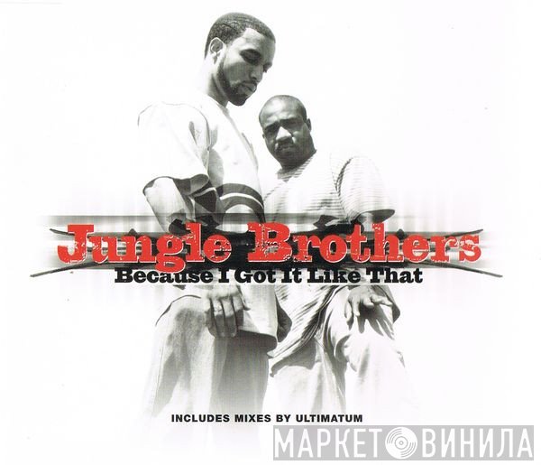 Jungle Brothers - Because I Got It Like That