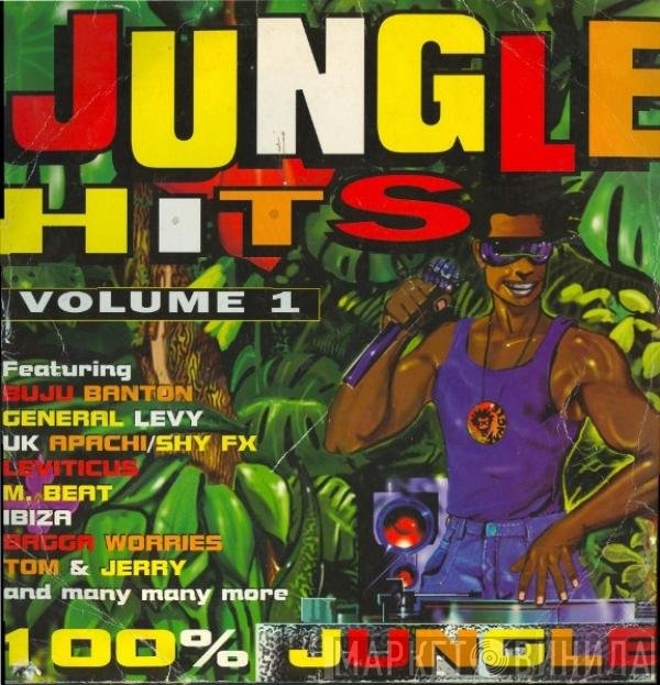  - Jungle Hits Volume 1