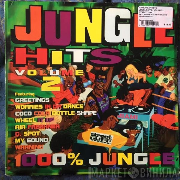  - Jungle Hits Volume 2