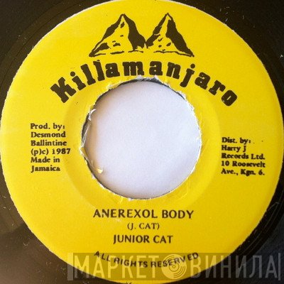 Junior Cat - Anerexol Body