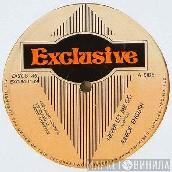 Junior English - Never Let Me Go