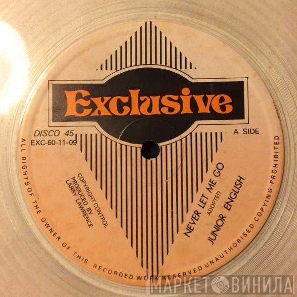 Junior English  - Never Let Me Go