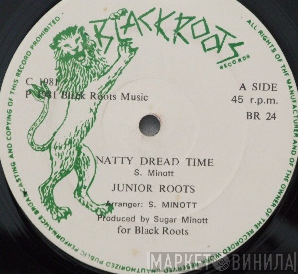 Junior Roots, Black Trap - Natty Dread Time / Into The Light