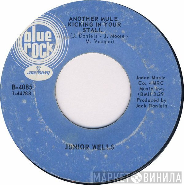 Junior Wells  - Party Power