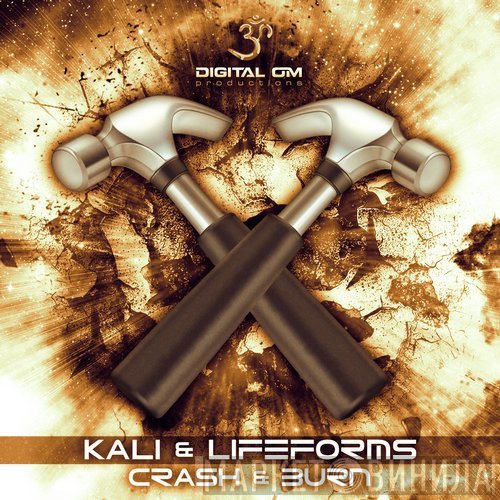 Kali  & Lifeforms   - Crash & Burn