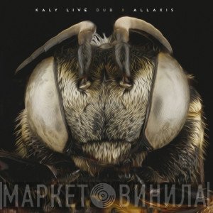 Kaly Live Dub  - Allaxis