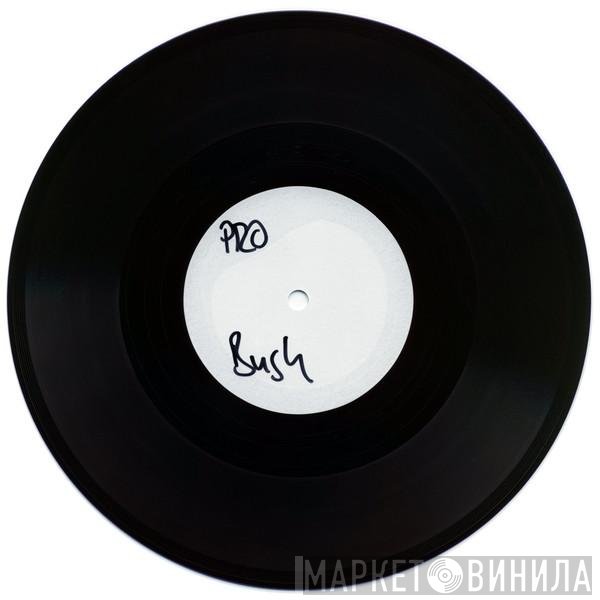 Kate Bush  - Cloudbusting