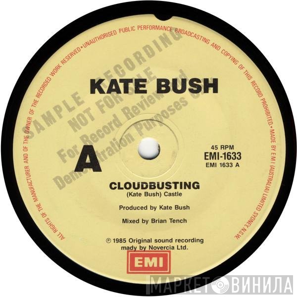 Kate Bush  - Cloudbusting