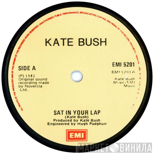 Kate Bush  - Sat In Your Lap