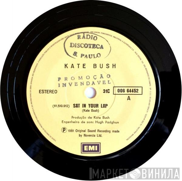 Kate Bush  - Sat In Your Lap