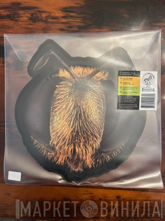 King Gizzard And The Lizard Wizard - Big Fig Wasp