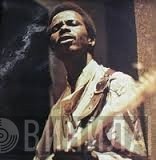King Sunny Ade & His African Beats - Sound Vibration!