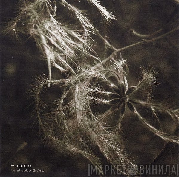 Klaus Wiese  - Roots (Night Version)