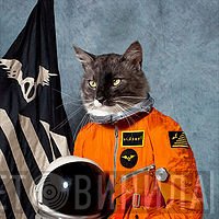 Klaxons  - Surfing The Void