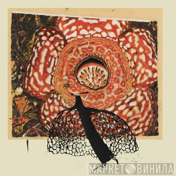 Klimperei, David Fenech - Rainbow De Nuit