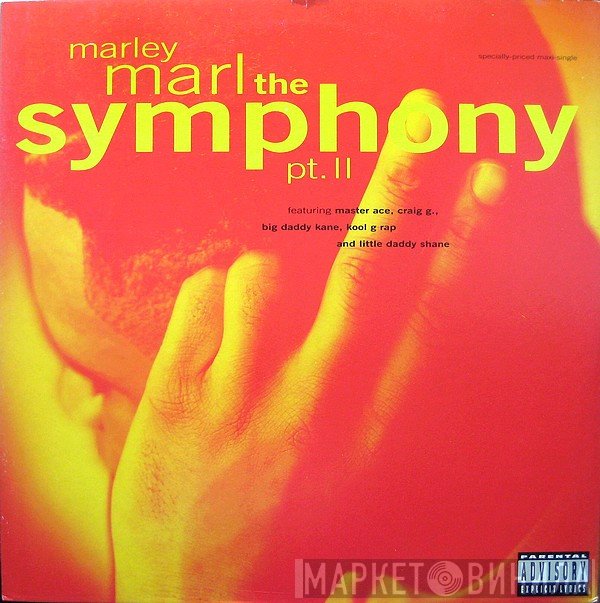 Kool G Rap, Masta Ace, Marley Marl, Big Daddy Kane, Craig G, Little Daddy Shane - The Symphony, Pt. II