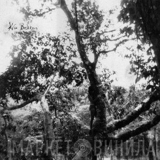 Kría Brekkan - Wildering