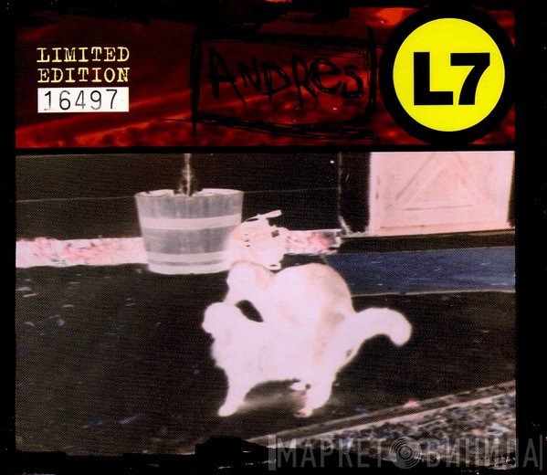 L7 - Andres