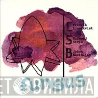 LSB  - Fungus