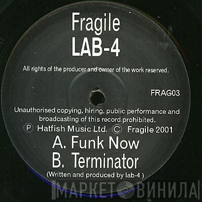 Lab 4  - Funk Now / Terminator