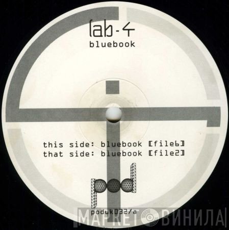 Lab 4  - Bluebook