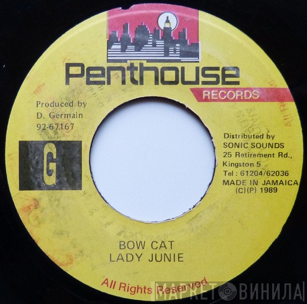 Lady Junie - Bow Cat