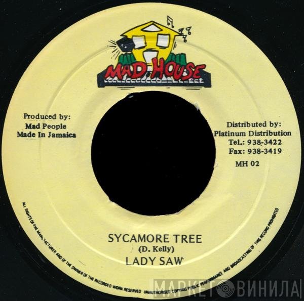 Lady Saw  - Sycamore Tree