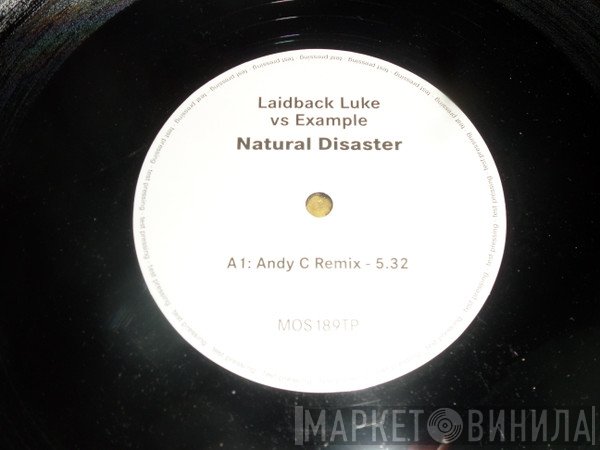 Laidback Luke vs Example  - Natural Disaster (Remixes)