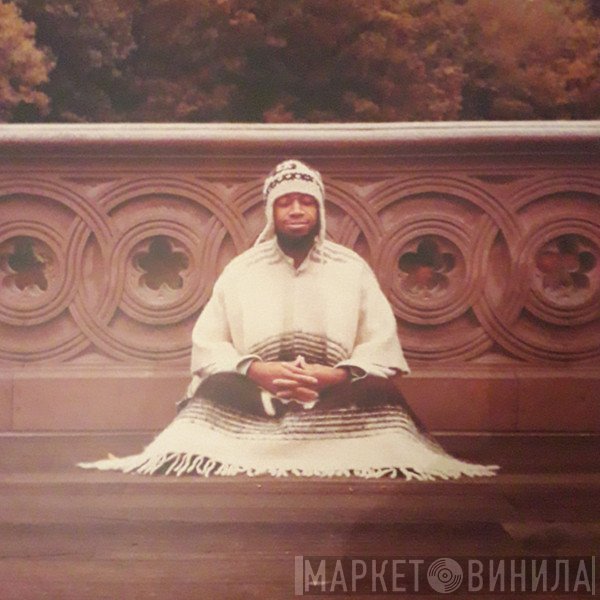 Laraaji  - Segue To Infinity