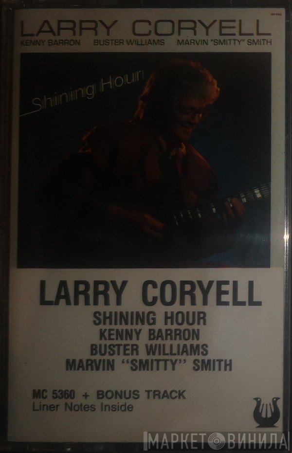 Larry Coryell - Shining Hour