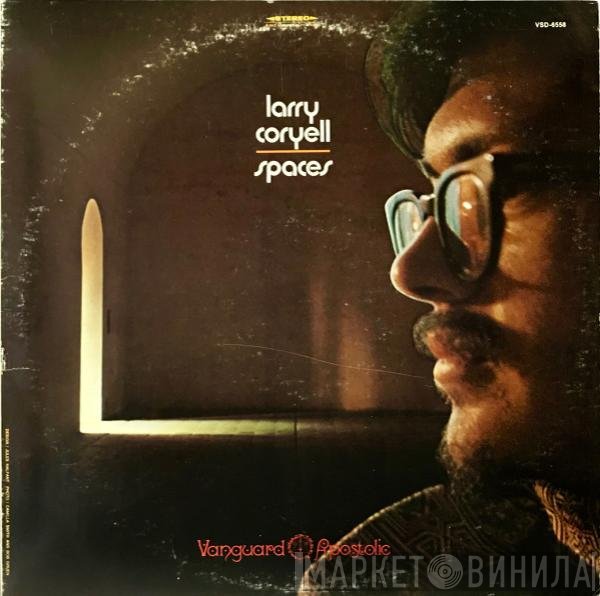 Larry Coryell  - Spaces