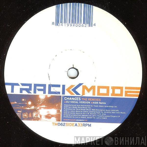 Larry Heard - Changes (The Remixes)