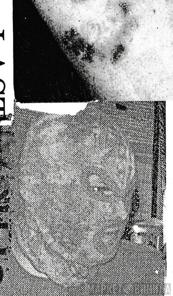 Last Rape / Bizarre Uproar  - Collaboration