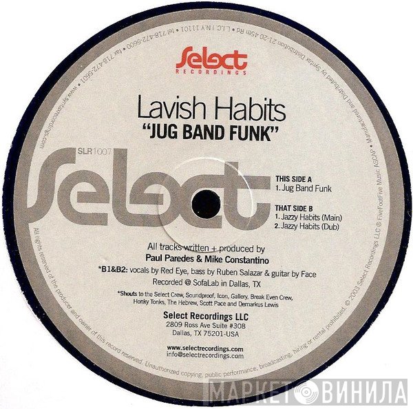 Lavish Habits - Jug Band Funk