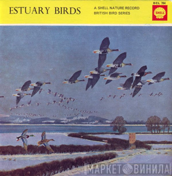 Lawrence Shove - Estuary Birds