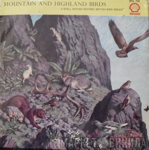 Lawrence Shove - Mountain And Highland Birds