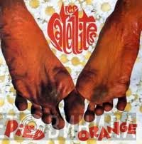 Les Satellites  - Pied Orange