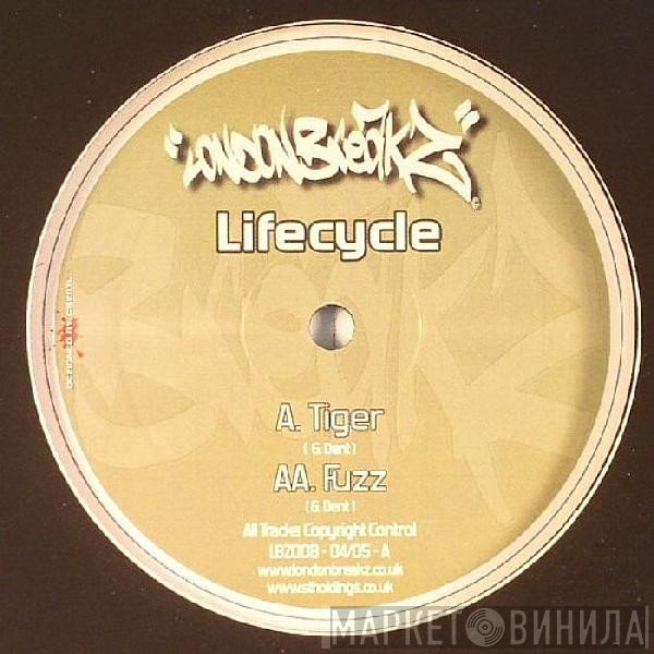 Lifecycle  - Tiger / Fuzz