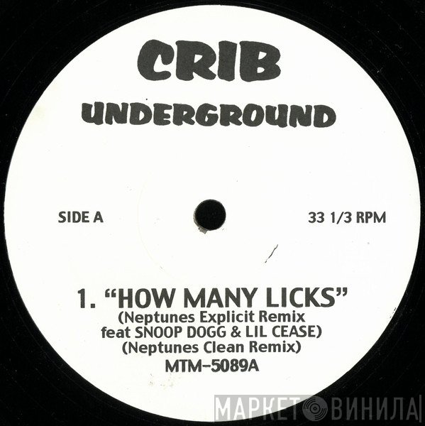 Lil' Kim / Changing Faces  - How Many Licks / Ladies Man