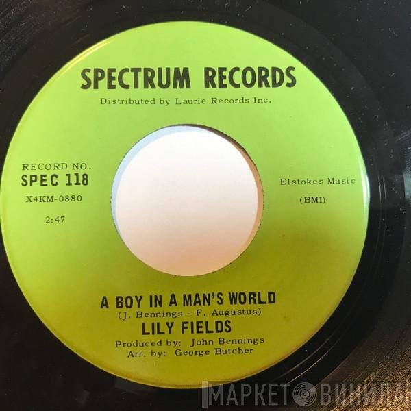 Lily Fields / Lily Fields And Hoagy Lands  - A Boy In A Man's World