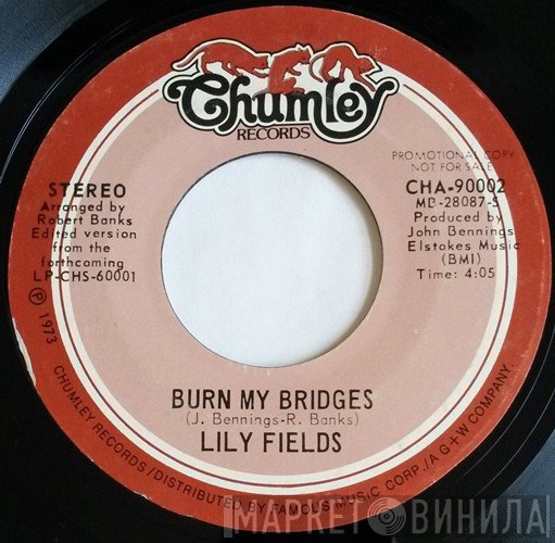 Lily Fields - Burn My Bridges