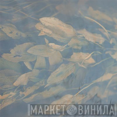 Listening Mirror - Resting In Aspic