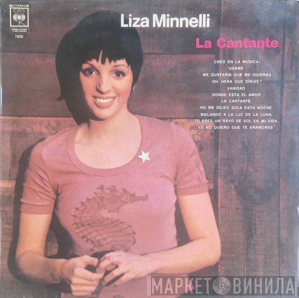 Liza Minnelli  - The Singer
