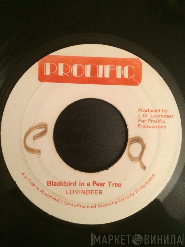 Lloyd Lovindeer  - Blackbird In A Pear Tree