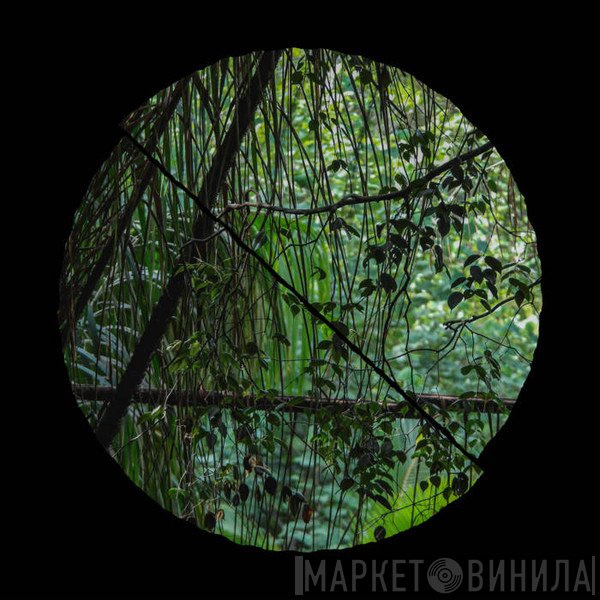 Llyr  - Biome